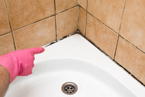 Best Mold Cleaning Services  in Roanoke, TX